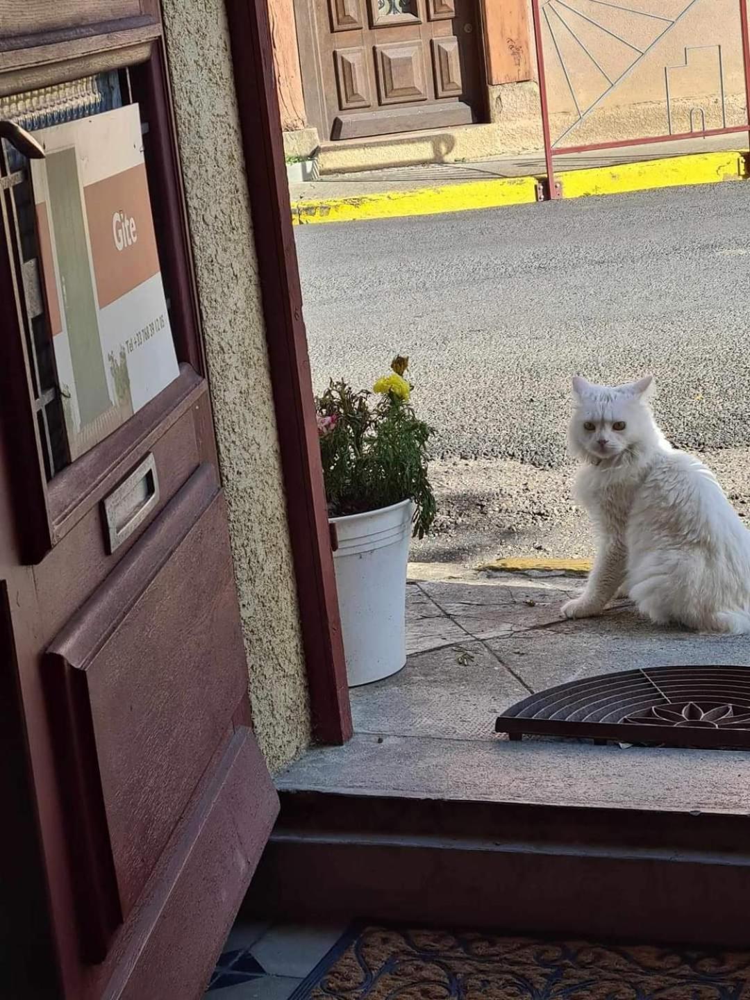 Andersson, Fa Daire Val-du-Faby Dış mekan fotoğraf